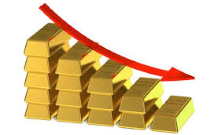 Precious Metals Correction in India: Gold & Silver Prices Falling