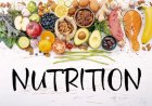 Personalized Nutrition: Because One Diet Doesn’t Fit All