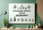 Sustainable Living & “Degrowth”: Living With Less, Fixing More