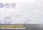 Breathe If You Can: Delhi’s Toxic Air Linked to 15% of All Deaths