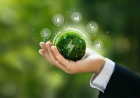 Turning Waste Into Value: Circular Economy Innovations