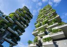 Global Urban Farming Projects to Watch in 2025