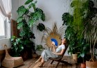 Green Living Inside: Indoor Gardens and Air-Purifying DIY Installations