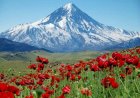 The Smoking Crown of Persia: Damavand, Asia’s Volcanic King, That The World Forgot