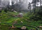 Tirthan Valley: India's Wild, Pure, and Sustainable Success Story