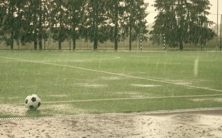 Delhi's Artificial Rain Project: Big Bang or a Bust?