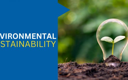 Sustainability as Strategy: Lessons From Global Firms