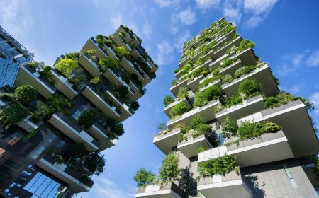 Global Urban Farming Projects to Watch in 2025