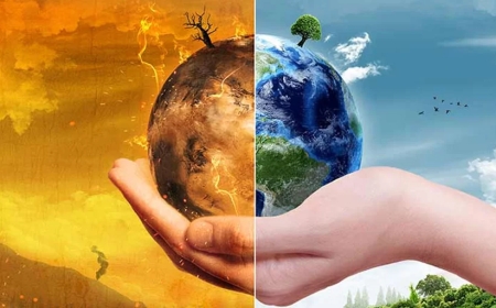 Carbon Border Adjustments: How Trade Policies Are Changing the World