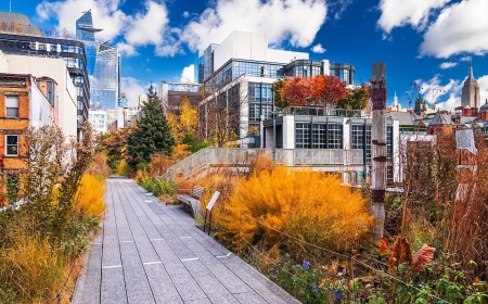 Adaptive Reuse & Circular Design: When Old Buildings Get a Second Life