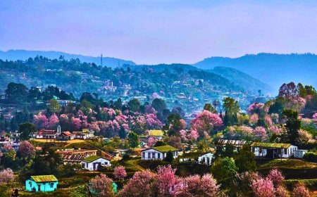 Why Shillong Became India’s Most-Searched Destination in 2025