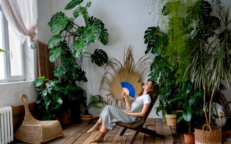 Green Living Inside: Indoor Gardens and Air-Purifying DIY Installations