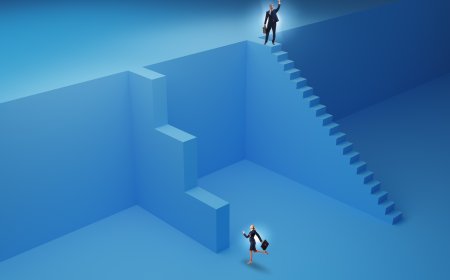 Analyzing the Gender Wage Divide: Expert Opinions and Perspectives