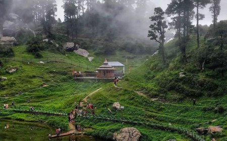 Tirthan Valley: India's Wild, Pure, and Sustainable Success Story