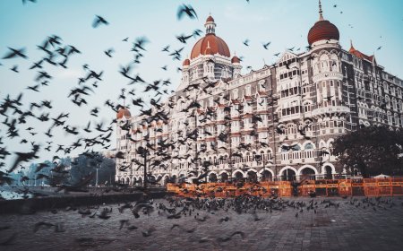 First Class or Full Crush: Decoding the Chaos of Mumbai's Transport Etiquette