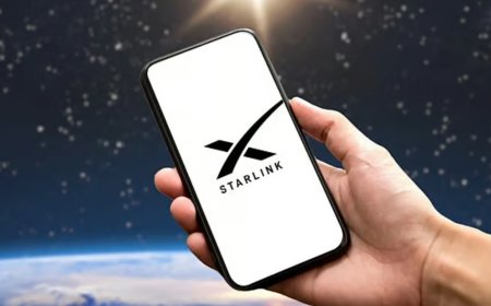 Starlink Begins Operations in Maharashtra: SpaceX Satellite Internet Finally Arrives