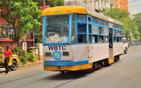 When in Calcutta: How to Live Like a Local as a Tourist in the City with a Soul