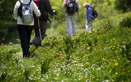 Eco-Luxury Tourism: How Sustainable Stays Are Redefining Travel