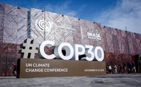 COP30: Five Key Takeaways from a Deeply Divisive Climate Summit