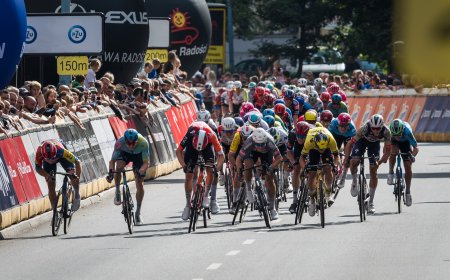 Competitive Spirits: Understanding Athlete Personalities