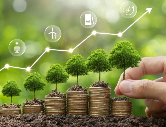 Sustainable Investing (ESG): Performance, Politics, and What to Know