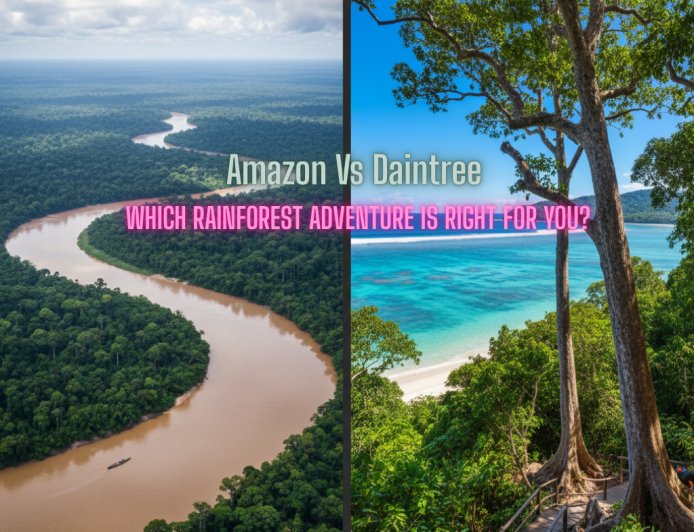 Amazon vs. Daintree: Which Rainforest Adventure is Right for You?