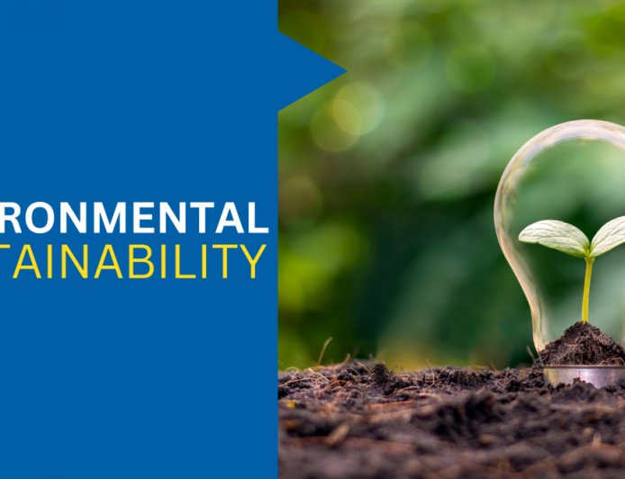 Sustainability as Strategy: Lessons From Global Firms