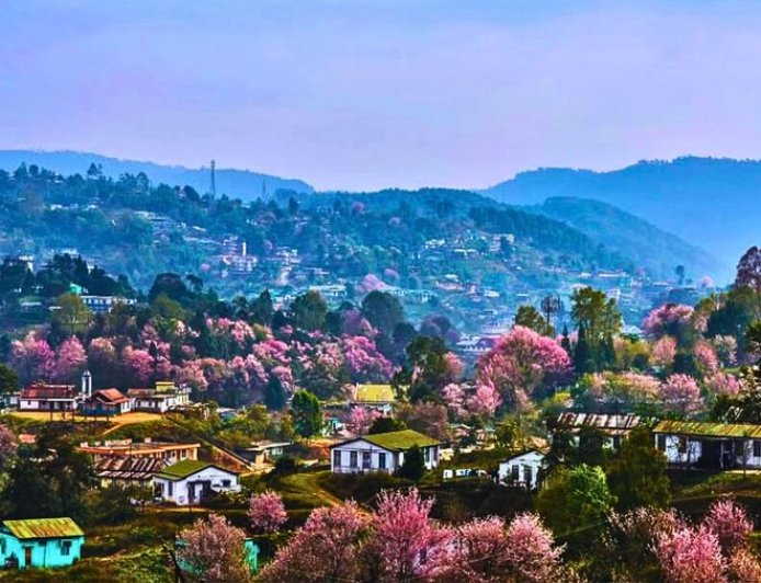 Why Shillong Became India’s Most-Searched Destination in 2025
