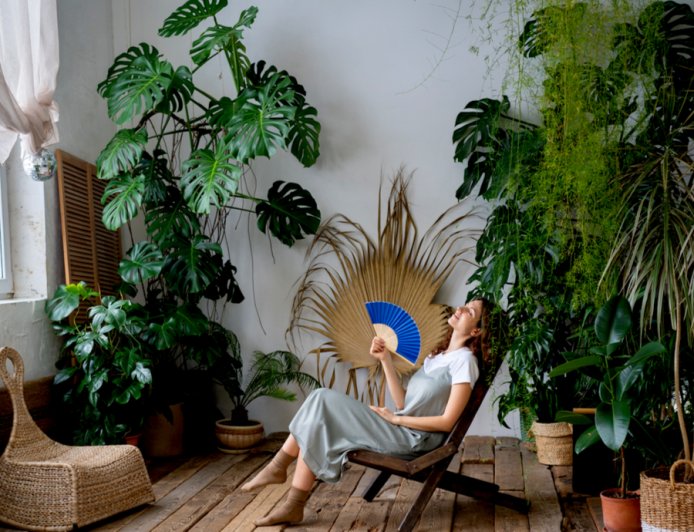 Green Living Inside: Indoor Gardens and Air-Purifying DIY Installations