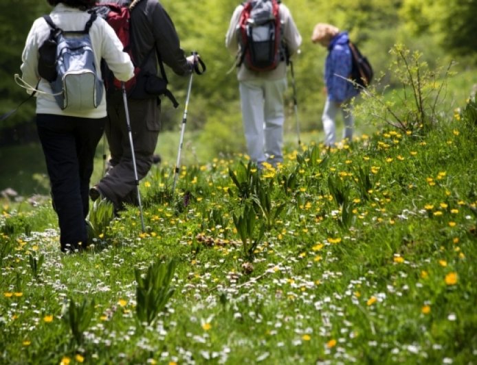 Eco-Luxury Tourism: How Sustainable Stays Are Redefining Travel