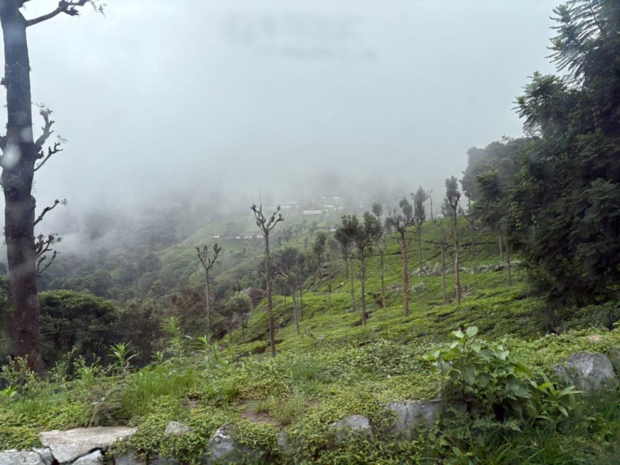 "Whispers of the Misty Hills"