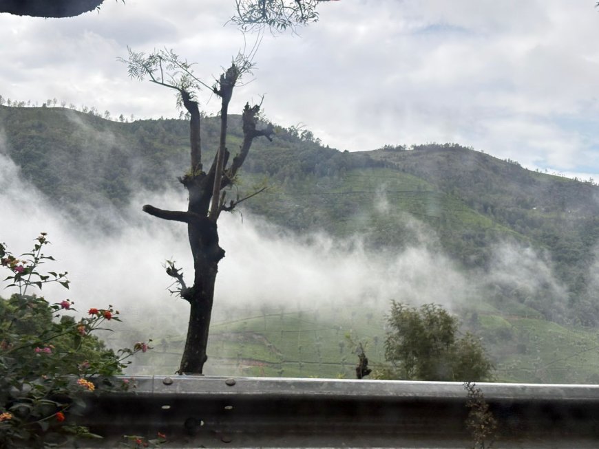 "Where the Clouds meets the Hills"