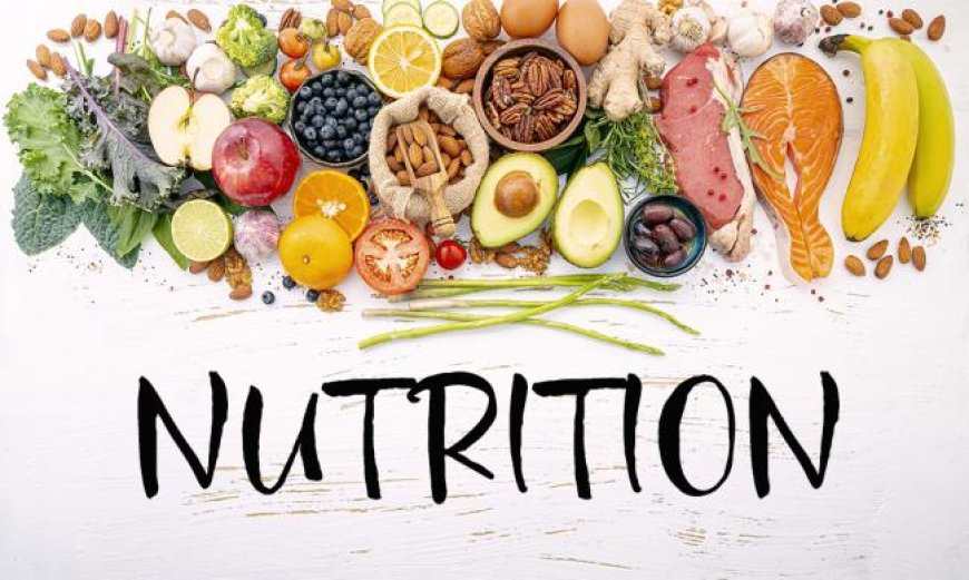 Personalized Nutrition: Because One Diet Doesn’t Fit All