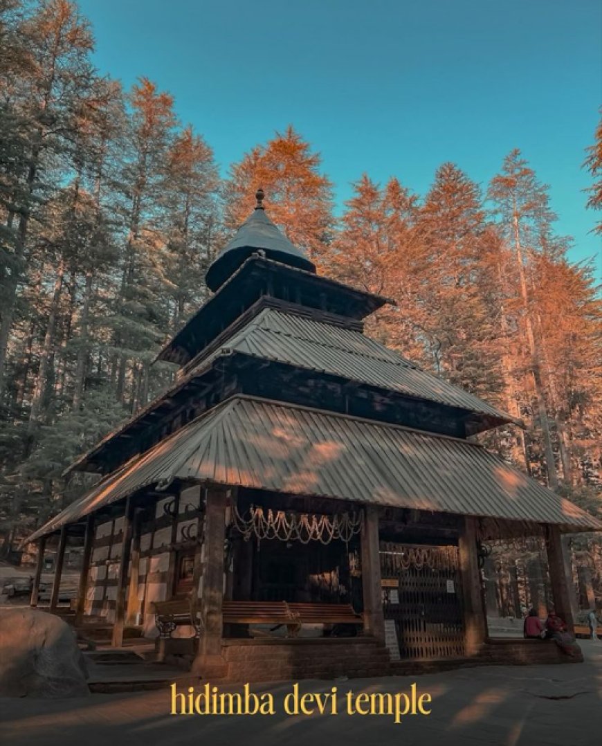 Unleash the Thrill ! Manali in Winter is the Ultimate Adventure You've Been Waiting For !