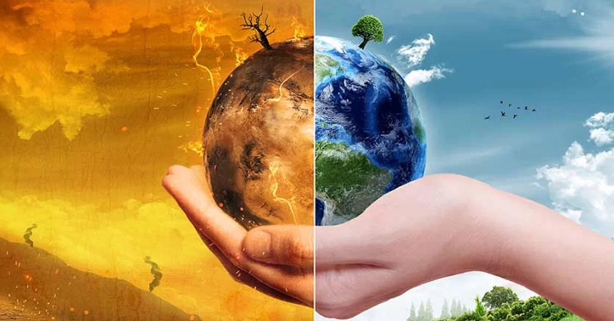 Carbon Border Adjustments: How Trade Policies Are Changing the World