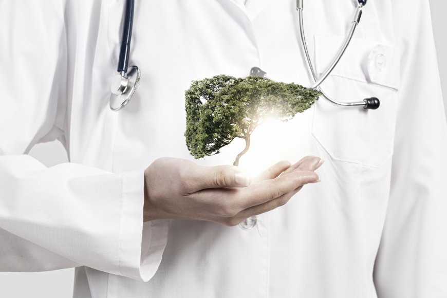 The Healing power of trees: the living infographic of nature