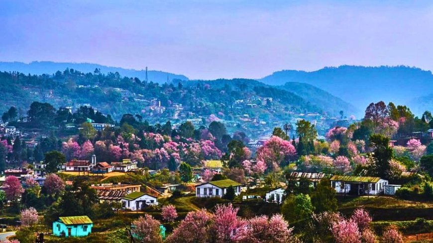 Why Shillong Became India’s Most-Searched Destination in 2025