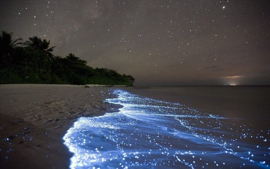 Vaadhoo Island, Maldives: The Sea of Stars