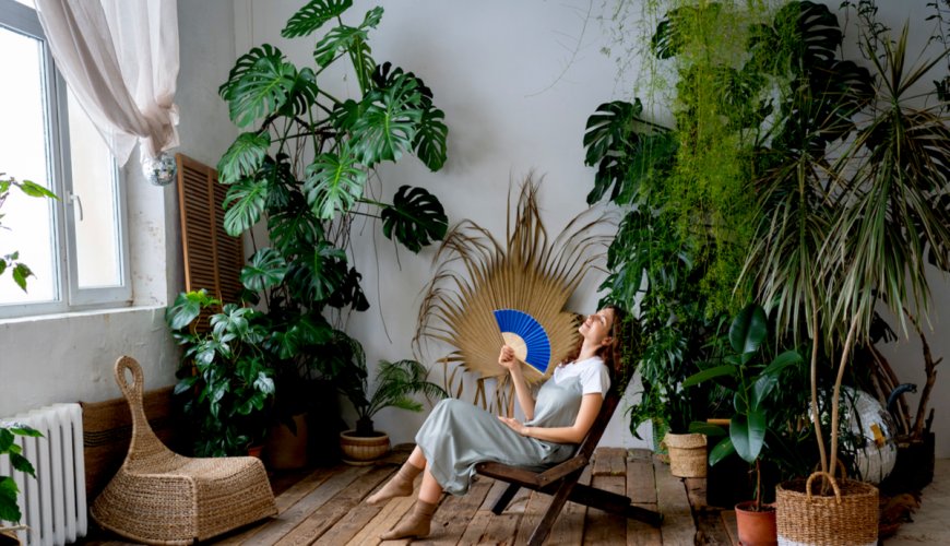 Green Living Inside: Indoor Gardens and Air-Purifying DIY Installations