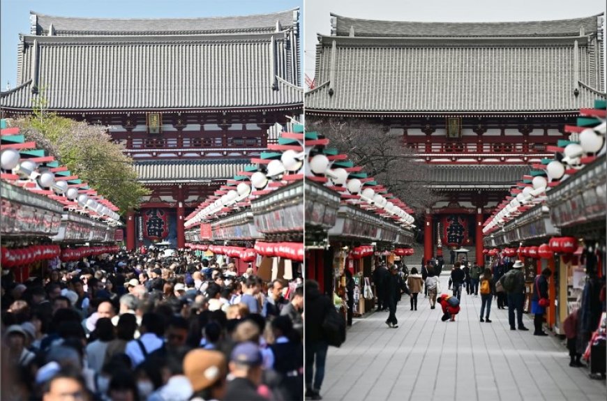 The Lie We Believe: Sustainability Isn't About Sacrifice, It's About Strategy.