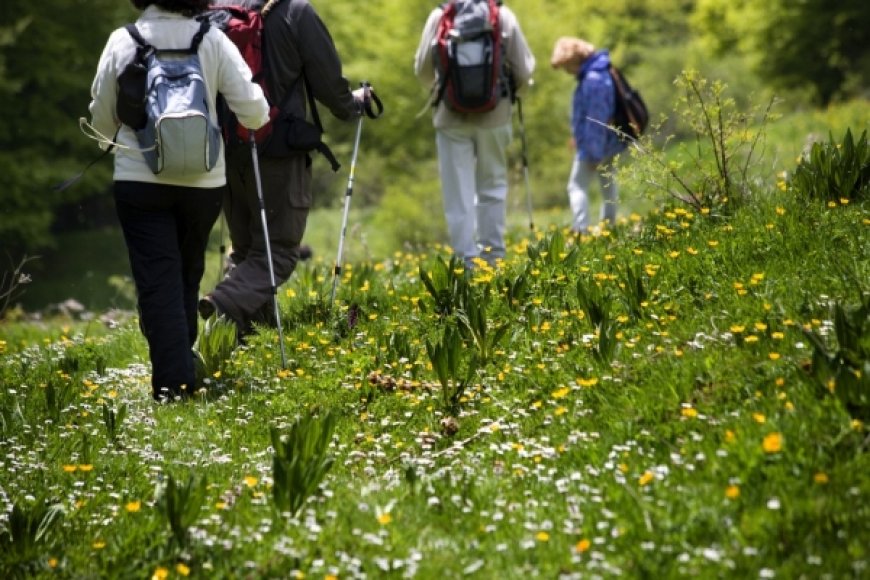 Eco-Luxury Tourism: How Sustainable Stays Are Redefining Travel