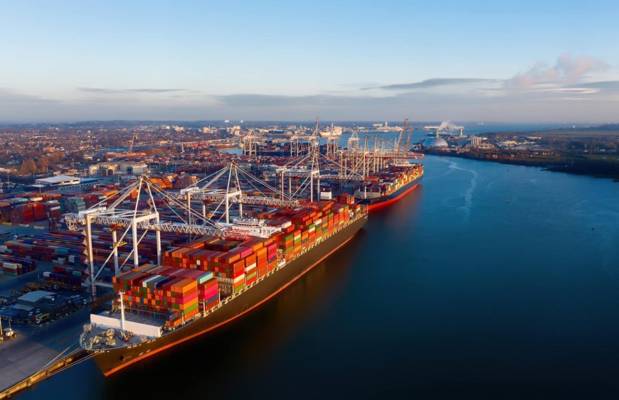 Indigenous Rights Recognized, But Forest Action Got Sidelined