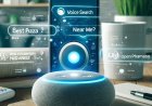 Voice search optimization