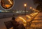 The Warmth of Innovation: Japan's Solar-Heated Benches Save Lives on Freezing Nights