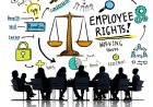 Employee Rights and Employer Responsibilities