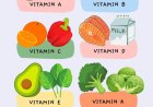 Basic Human Nutrition and Vitamins