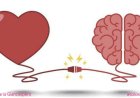 Do You Follow Your Heart or Your Brain More?