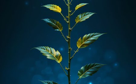 Enhanced Support System: Empowering Partners to Deliver Superior Results