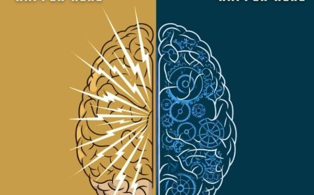 Which Part of the Brain Is Responsible for Decision-Making?