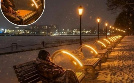 The Warmth of Innovation: Japan's Solar-Heated Benches Save Lives on Freezing Nights